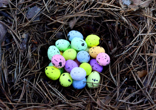 istock Multi-colored Easter eggs in a bird's nest. Straw and twig bird nest with egg 1311291821