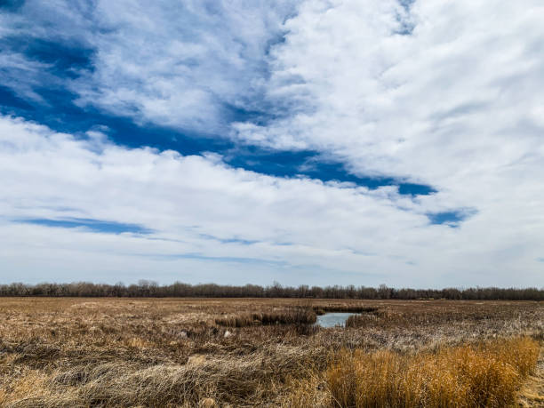 istock Arkansas river reflects a peaceful afternoon sky at Bent's Old Fort 1311292471