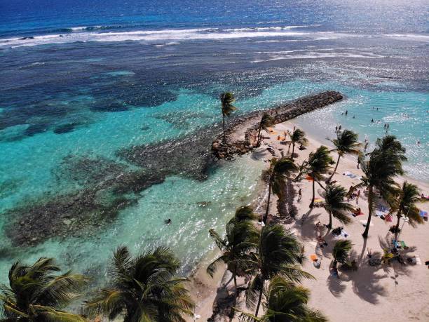 istock Guadeloupe coral reef 1311293678