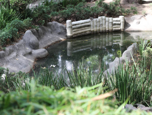 istock small water pond among green foliage with white dam 1311293721