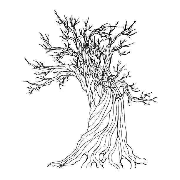 Contour illustration with an old rotten oak isolated on a white background. Vector illustration, easy to scale. Contour illustration with an old rotten oak isolated on a white background. A decrepit comic-book-style tree with twisted veins and dry, gnarled branches. A symbol of time gone by and fading away. old oak tree stock illustrations