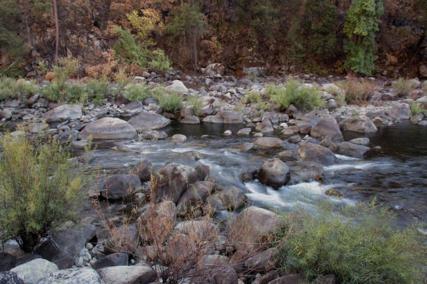 istock river in the mountains in wildfire burn area 1311295599
