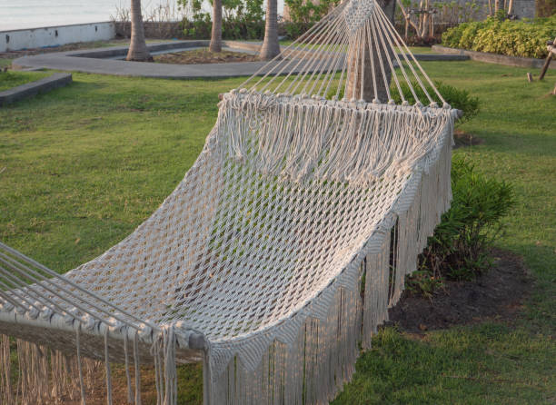 istock Tourist hammock for relaxing on the resort. 1311296268