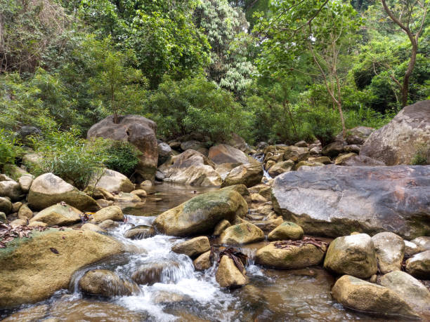 istock Picturesque Stream in Tropical Forest 1311300165