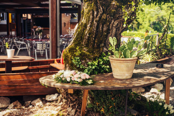 Annecy, France - May 21, 2018: Succulents vase and roses on open air restaurant table