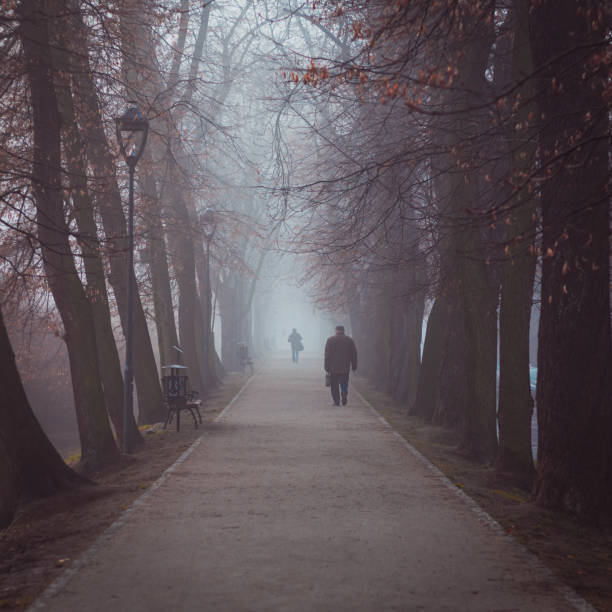 istock people on the misty park path between the trees 1311305229