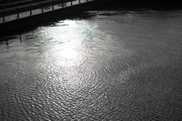sun reflecting on water in Cologne, Germany, in black and white