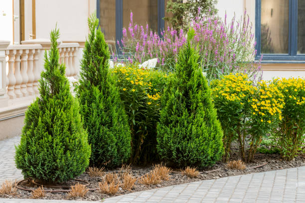 istock bushes and flowers in landscape design 1311314664