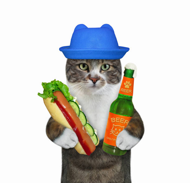 istock Cat colored with beer and hot dog 1311315731