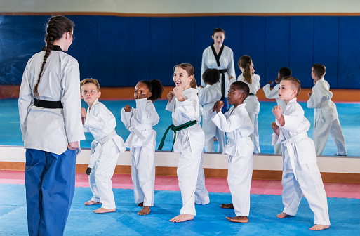 A multi-ethnic group of five children, 6 to 9 years old, taking a taekwondo class. They are standing in a row facing the instructor. They are wearing doboks with different colored belts indicating their level of skill.