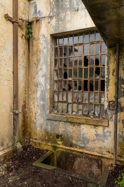 istock Northern State Hospital 1311324016