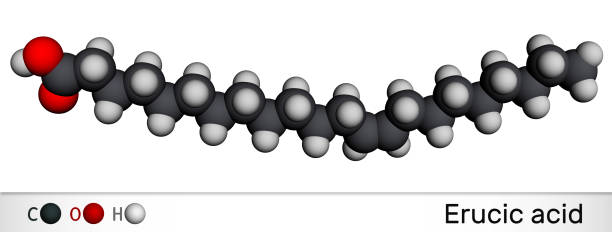 istock Erucic acid molecule. It is docosenoic acid, monounsaturated omega-9 fatty acid. Molecular model. 3D rendering 1311326620