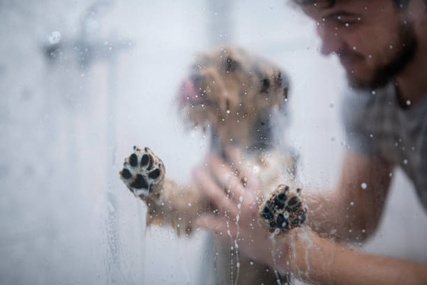 A shot of unregcognizable man giving his little cute dog  bath.