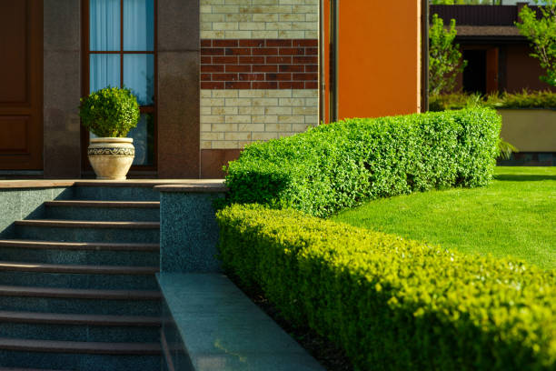 geometric bushes in the landscape - formal garden garden path bench flower imagens e fotografias de stock