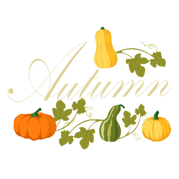 istock Pumpkin simple flat color. Pumpkin icon. Vector. Autumn Halloween or Thanksgiving pumpkin symbol 1311327888