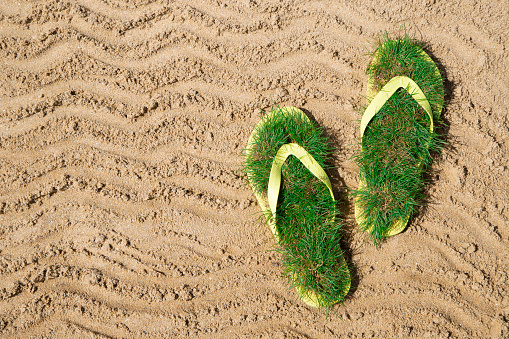 Flip flop with green grass on sand