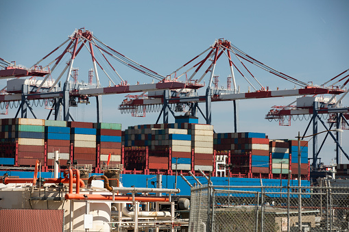 Cargo cranes offload cargo ships at a port.