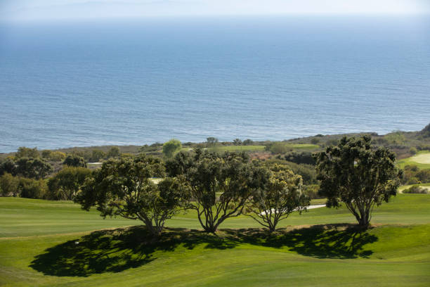 istock Rancho Palos Verdes 1311328929