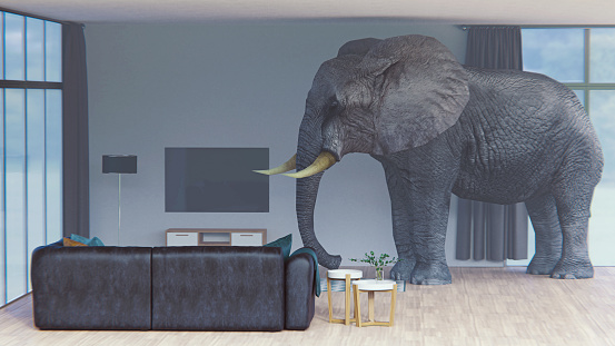 Opened red curtain shows an elephant entering the stage.This is a 3d render illustration
