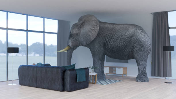 istock Concept image of the elephant in the room 1311329465