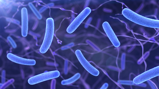 3d render of bacterias and fiber on the background