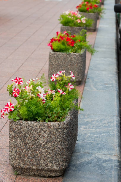 istock stone flowerpots in the park 1311331278
