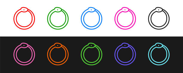 Set line Magic symbol of Ouroboros icon isolated on black and white background. Snake biting its own tail. Animal and infinity, mythology and serpent. Vector Set line Magic symbol of Ouroboros icon isolated on black and white background. Snake biting its own tail. Animal and infinity, mythology and serpent. Vector. infinity-snake stock illustrations