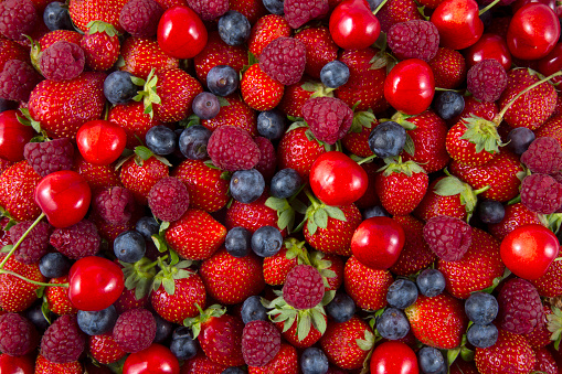 Forest fruit berries background.