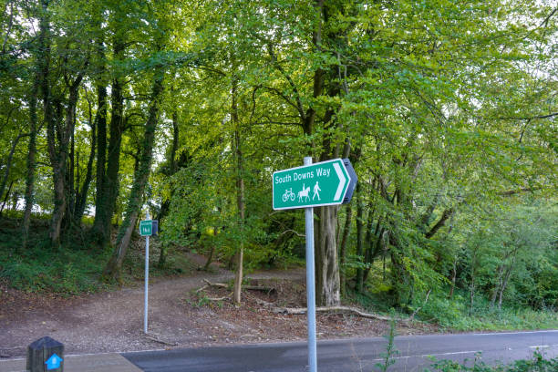 istock South Dows Way sign in woodland 1311334586