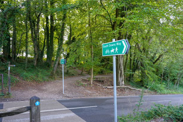 istock South Dows Way sign in woodland 1311334681