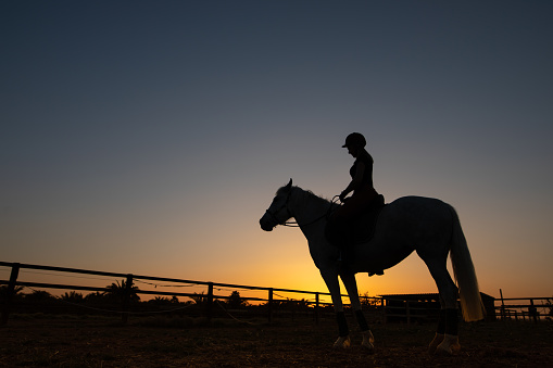 Silhouette of a young woman sitting on her horse after riding exercises in the stable during the sunset. Grain added.