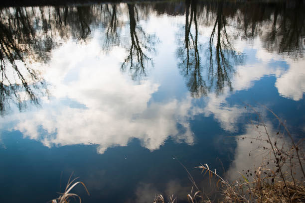 istock Reflection of trees and sky with blue clouds in the water. 1311336042