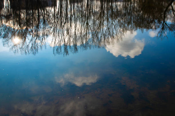 istock Reflection of trees and sky with blue clouds in the water. 1311336047