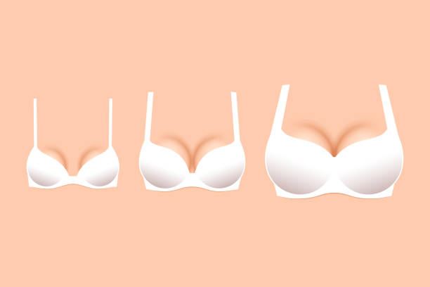 Three white brassieres with cups of different sizes vector art illustration