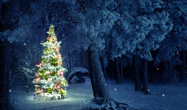 árvore de natal com luzes "n - christmas christmas tree sweden decoration - fotografias e filmes do acervo