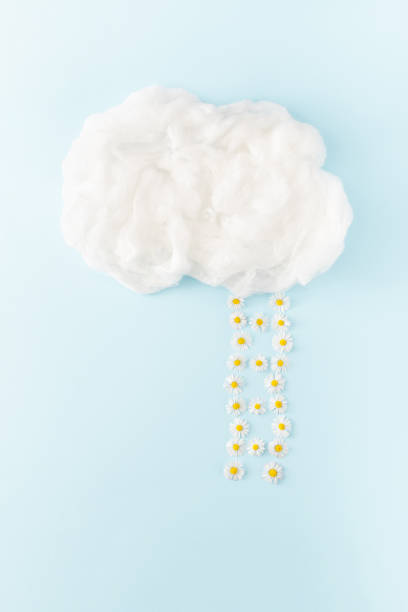 istock Step ladder made of daisy flowers leading to clouds. Minimal spring concept. 1311340365