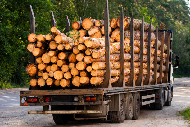istock round wood in a truck 1311342815