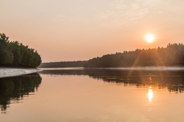istock Sunset in Sundarbans, Banglade 1311344225