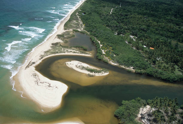 istock Itacare, state of Bahia, Cocoa cost. 1311344554