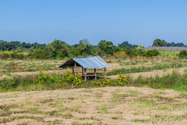 Rural landscape near Piyn Oo Lwin, Myanmar