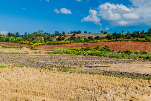 istock Rural landscape near Hsipaw, Myanm 1311344728