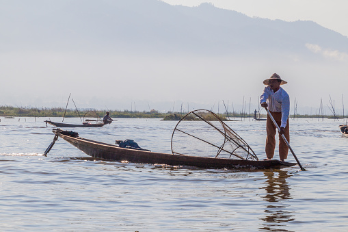 INLE, MYANMAR - NOVEMBER 28, 2016: Burmese fisherman at Inle lake catching fish in a traditional way with handmade net.