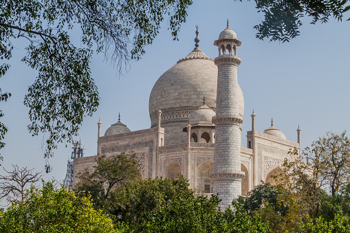 Taj Mahal in Agra behind trees, India