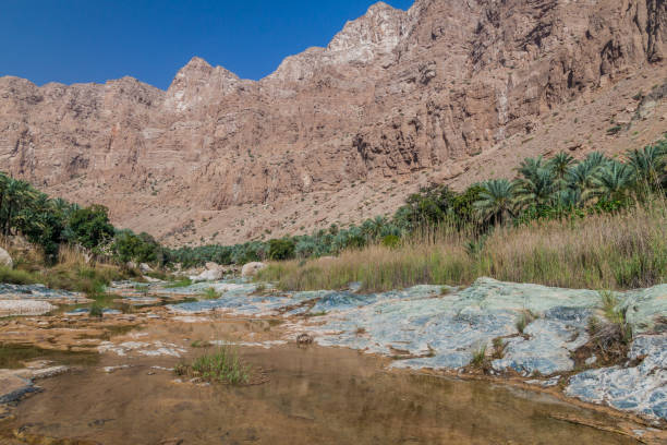 arroyo en el valle de wadi tiwi, om - deep creek area fotografías e imágenes de stock