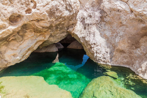 turquoise water of a creek in wadi tiwi valley, om - tiwi imagens e fotografias de stock
