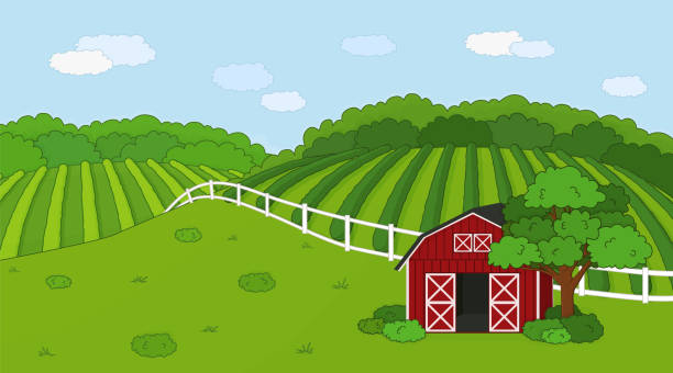 Summer or spring farm doodle concept in countryside. Cartoon vector cute Red barn with open doors, white fence and clouds, green field, planted plantations, bushes and plants for animal life. Summer or spring farm doodle concept in countryside. Cartoon vector cute Red barn with open doors, white fence and clouds, green field, planted plantations, bushes and plants for animal life rail fence stock illustrations