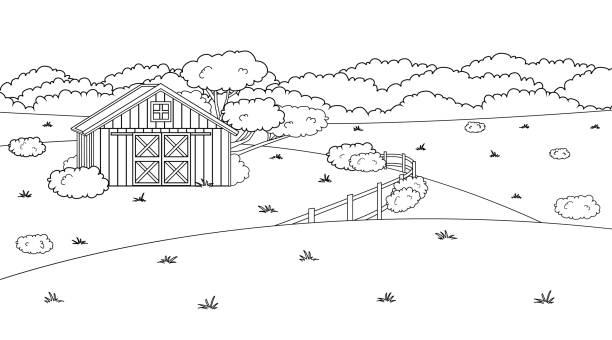 ilustrações de stock, clip art, desenhos animados e ícones de black white monochrome cartoon doodle vector cute summer or spring farm in countryside. red barn, fence, fields and trees, bushes and plants for animals life background, coloring books. - poland rural scene scenics pasture