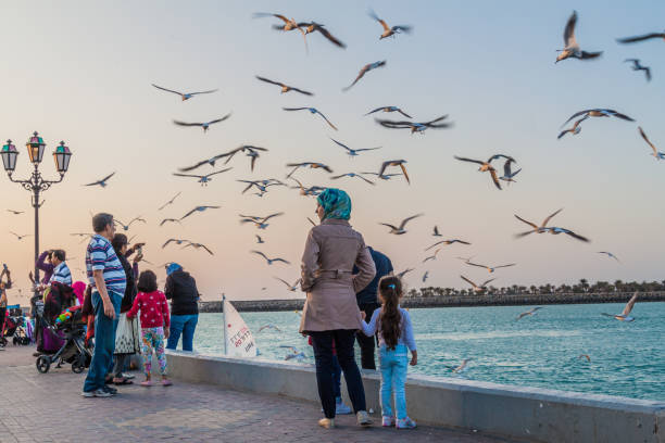 People watch sea gulls at Marina Breakwater in Abu Dhabi, United Arab Emirat stock photo