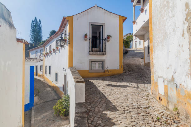 istock Cobbled streets in Obidos village, Portug 1311352413
