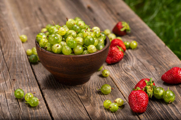 ripe gooseberry in a plate and strawberries in a garden - berry fruit currant variation gooseberry imagens e fotografias de stock